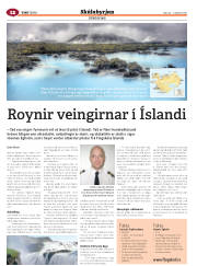 Síða 52
