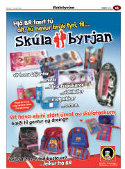 Síða 55