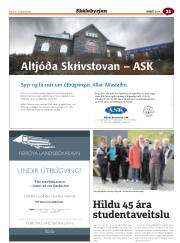 Síða 61