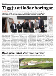 Síða 8