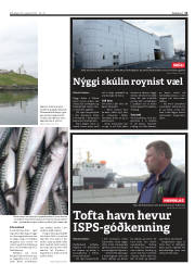 Síða 11