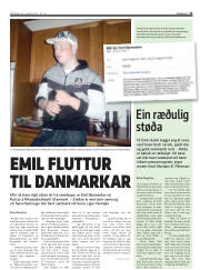 Síða 13
