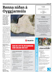Síða 15