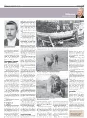 Síða 21