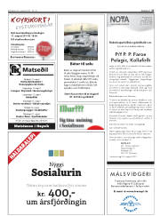 Síða 27