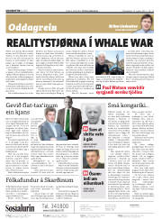 Síða 2