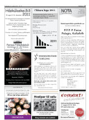 Síða 17