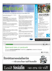 Síða 25
