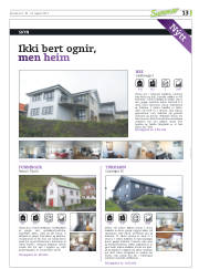 Síða 45