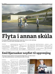 Síða 8