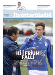 Síða 13