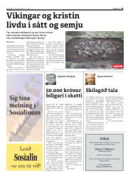 Síða 29