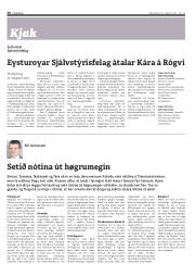 Síða 30