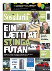 Síða 1