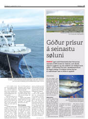 Síða 13