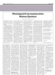 Síða 17