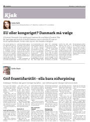 Síða 18