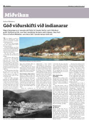 Síða 20