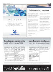 Síða 27