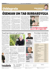 Síða 2