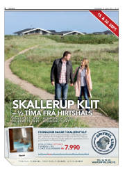 Síða 8