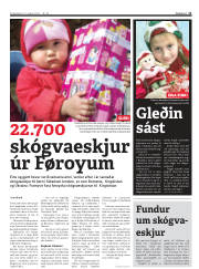 Síða 11