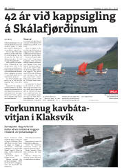 Síða 12