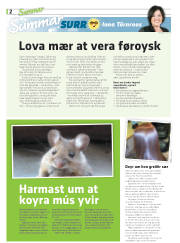 Síða 18
