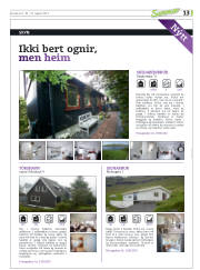 Síða 29