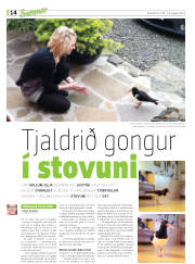 Síða 30