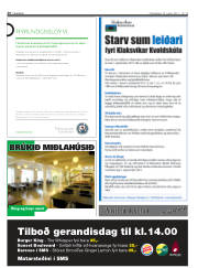 Síða 42