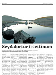 Síða 4