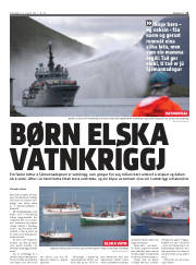Síða 11