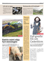 Síða 9