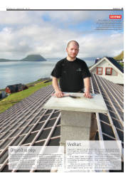 Síða 11