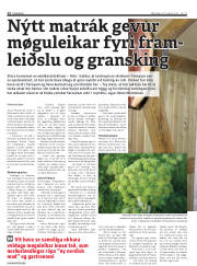 Síða 12