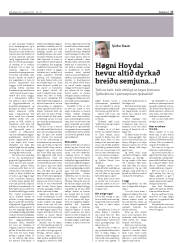 Síða 17