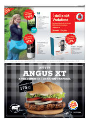 Síða 25