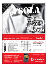 Síða 29