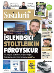 Síða 1