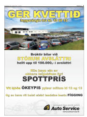 Síða 5