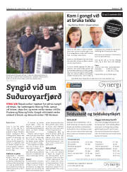 Síða 11
