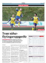 Síða 19
