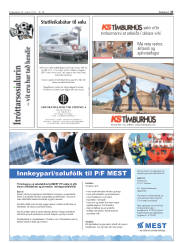 Síða 27