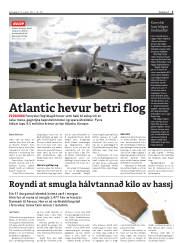 Síða 3