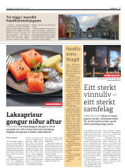 Síða 7