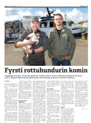 Síða 9