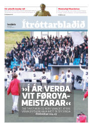 Síða 11
