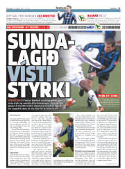 Síða 17
