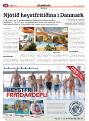 Síða 60